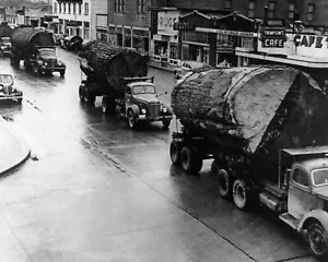 Logging Trucks Photo Thompson's Café Snoqualmie North Bend Washington 1941 8x10 - Picture 1 of 2