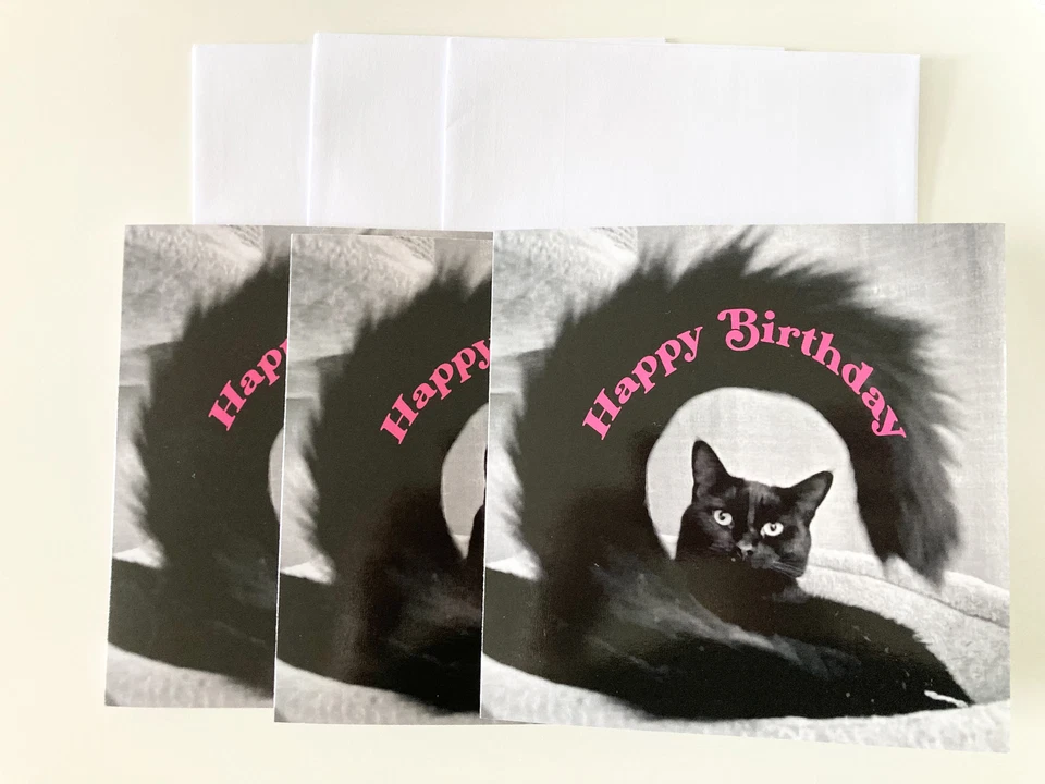 Pack Tarjetas de Felicitación Negro Cola de Gato Feliz Cumpleaños Negro Blanco Rosa Foto 1 de 1