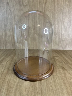 "Capa cúpula de vidrio vintage con base de madera 12"" grande exhibición de decoración artesanal" Foto 1 de 4