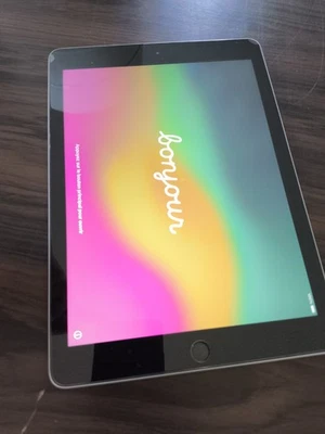 IPad 6e génération 2018 32 Go modèle a1893 - Photo 1/4