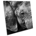 Elephant Skin Kenya Safari Canvas Wall Art Square Picture Print