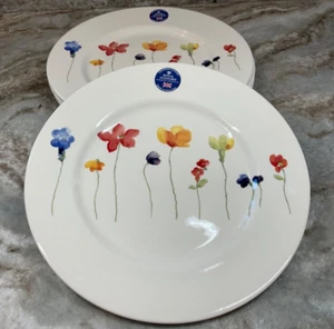 Dinner Plates Scattered Flowers Bloom Royal Stafford Made In England Set 4 New - Picture 1 of 21