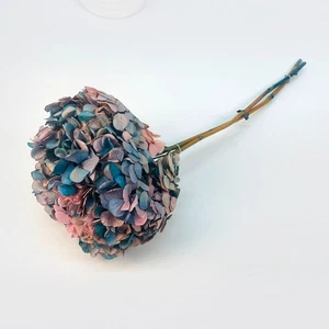 Preserved Hydrangea Ombré Monet’s Garden Home Garden Wedding Floral Decor - Foto 1 di 6