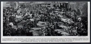 1925  --  JOUR DE FOIRE AUX BESTIAUX A LANNEMEZAN  C067   MARCHé - Imagen 1 de 1
