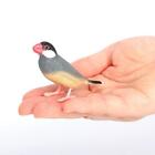 Simulation Vogel Modell Garten Vogel Spielzeug Pädagogische Realistische Statue