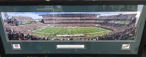 Philadelphia Eagles Lincoln Campo Financiero Enmarcado Y Enmarañado Panorámico NFL - Imagen 1 de 7