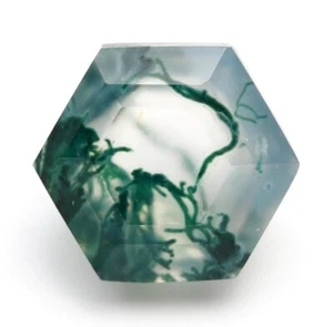 Natural Moss Agate Hexagon Shape 5X5mm Healing Gemstone Birthday Gift 0.50 Ct. - Picture 1 of 3