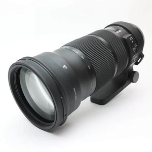 SIGMA 120-300mm F/2.8 DG OS HSM Sports (for Canon EF mount) #381 - Picture 1 of 12