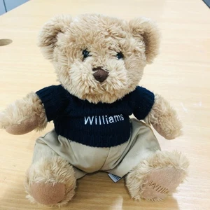 Williams BMW Orsacchiotto Ufficiale in Maglione 10" Peluche Giocattolo Morbido Etichette Chiglia Giocattoli - Foto 1 di 9