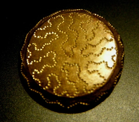 Antique brass shank button back mark "rich orange standard gilt 15/16"or 22"mm Cover