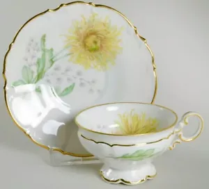 Vtg Hutschenruether THE CHRYSANTHEMUM Footed Demitasse C/S Bavaria Germany D1-24 - Picture 1 of 5