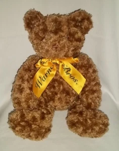 2000 WARNER BROS STORE Plush TWEETY BIRDS Teddy BEAR Brown Large Stuffed Animal - Picture 1 of 4