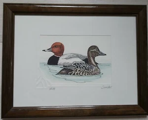 Kunstdruck Ente von Sander mit braunen Rahmen - Bild 1 von 3