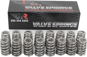 LS6 BEEHIVE VALVE SPRING SET - .560 LIFT - 16 PC KIT - SP011-16 - Picture 1 of 3
