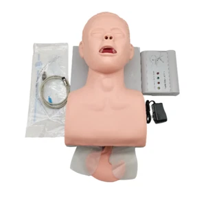 Intubación Manikin Estudio Modelo de Enseñanza Entrenador de Gestión de Vías Aéreas Dientes de PVC NUEVO - Imagen 1 de 9