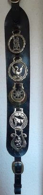 VICTORIAN MARTINGALE WITH 5 HORSE BRASSES LAST USED 1940'S FAMILY 3 GENERATIONS - Image 1 of 4
