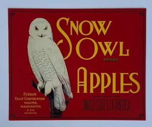 Snow Owl Brand, Vintage Original 1930s 8.5 x 10.5 Fruit Crate Label, Decorative - Picture 1 of 3