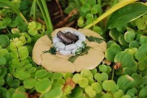 Fairy Garden Mossy Camp Fire Foce - Patio Casa de Muñecas Accesorio Pavimento Decoración - Imagen 1 de 2