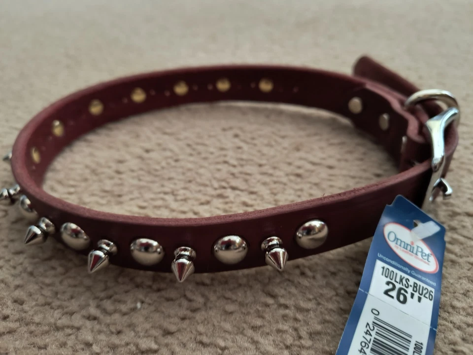 Collar de perro OmniPet de cuero con tachuelas con púas Latigo 26" x 1" marrón/borgoña 100LKS Foto 1 de 4