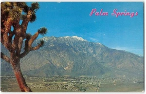 PALM SPRINGS, CA Mt. San Jacinto Chino Canyon Tacheva 1950s Vintage Postcard - Picture 1 of 2