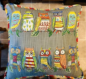Grouchy Goose “Hoot Owl” 20x20 Double Sided Down Throw Pillow - Goose down!! - Picture 1 of 4