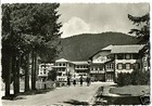 MADONNA DI CAMPIGLIO ALBERGO DELLE ALPI (TRENTO) 1952
