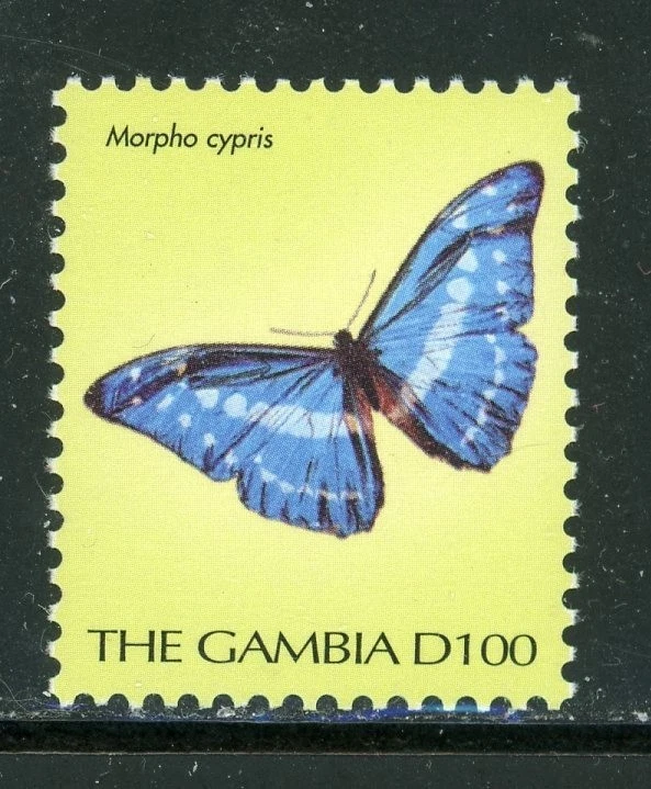 GAMBIA 2452B SG3568a MNH 100d Definitivo Morpho Cypris Mariposa CV$9 Foto 1 de 1