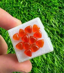Natural Orange Carnelian 6MM Trillion Cabochons 10Pcs Lot Loose Gemstone - Picture 1 of 3