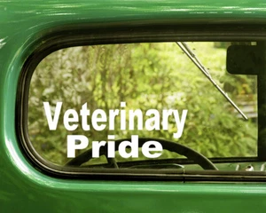 2 VETERINARY PRIDE DECALS Sticker For Car Window Bumper Laptop Rv Truck - Picture 1 of 1