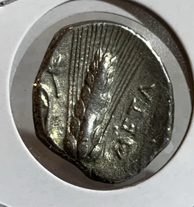Griechische Lucania. Metapontion. Stater. Um 340-330 v. Chr. (Silber, 20,93 mm, 7,74 g). - Bild 1 von 3