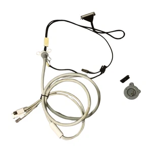ORIGINAL Apple Display 27" A1316 ALL IN ONE LED LCD display Cable CLEAN - Picture 1 of 6