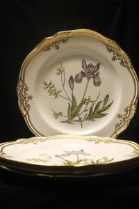 SPODE STAFFORD FLOWERS 4ER SET SPEISETELLER - IRIS - Bild 1 von 9