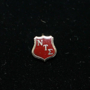 PIN DE FRATERNIDAD NU TAU SIGMA FRATERNIDAD HERMANDAD Capítulo de la Fraternidad Phi Beta Sigma - Imagen 1 de 3
