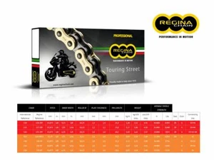 CADENA REGINA 137ZRT PASO 525 PARA BENELLI TRK 502 / X 17+ - Imagen 1 de 2