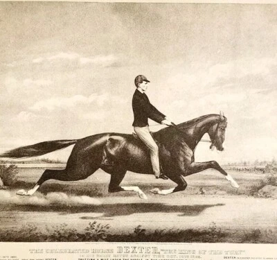 Placa de carreras de caballos Dexter Buffalo NY 1952 impresión litográfica Currier e Ives DWLL16 Foto 1 de 2