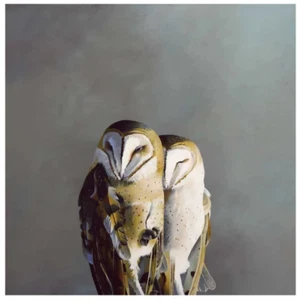 Matt Adrian Barn Owl Framed Art Print Signed Lmt Ed 50/100 Dreadfully Delightful - Picture 1 of 12