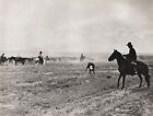 1908/52 Vintage WESTERN COWBOY HORSE Cow Roundup 11x14 Photo Art ERWIN E. SMITH