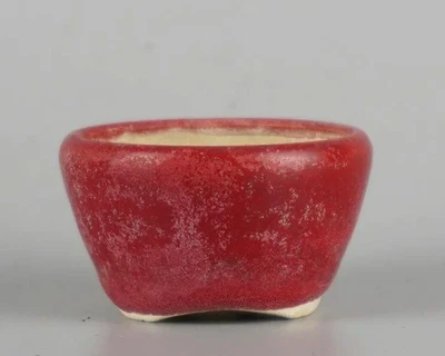 Japanese Bonsai pot BIKO HORIE signed Red glazed Round SESSOKU φ2.4" *239 8 - Image 1 of 4