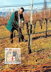 Maximum Card FDC LIECHTENSTEIN Vineyard Work February 2003 MK 214 - Picture 1 of 2