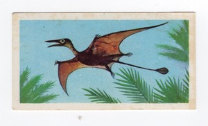 Brooke Bond Prehistoric Animals Tea Card 1972 #27 Rhamphorhynchus