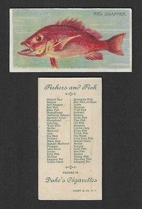 1888 N74 Duke Tobacco Card - Fish & Fishers Series - Red Snapper 