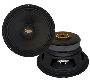 Controlador de 10" pulgadas SAVARD Speaker Systems serie profesional - Imagen 1 de 6