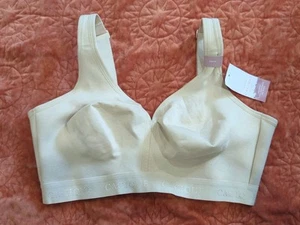 Cacique Unlined Full Coverage No Wire Bra 38DD Cotton Blend Adjustable NWT - Picture 1 of 3