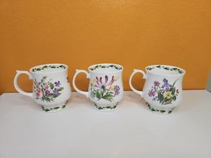 Queen’s Bone China Royal Horticultural Society "THE GARDEN" 6er Set Teetassen - Bild 1 von 10