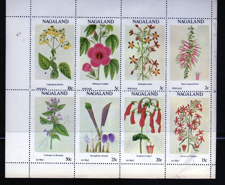 NAGALAND OF INDIA 1972 FLOWERS MINT VF NH O.G M/S8 (28NAG) - Image 1 of 1