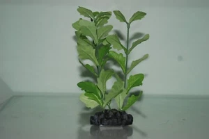 Aquarium Shinnsia Rivularis silk Plant Green 40 cms With weighted base - Picture 1 of 1