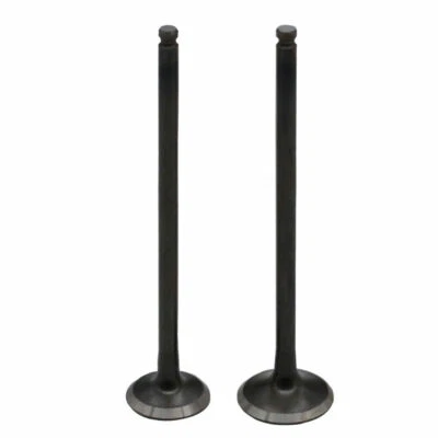 Kit de 1 par de válvulas de admisión y escape para Kawasaki KXF250 KX250F 2004-2016 Foto 1 de 2