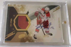 Eric Staal Patch Auto Sp #27 10/25 Low Numbered 2013-14 Carolina Hurricanes Nhl - Picture 1 of 2