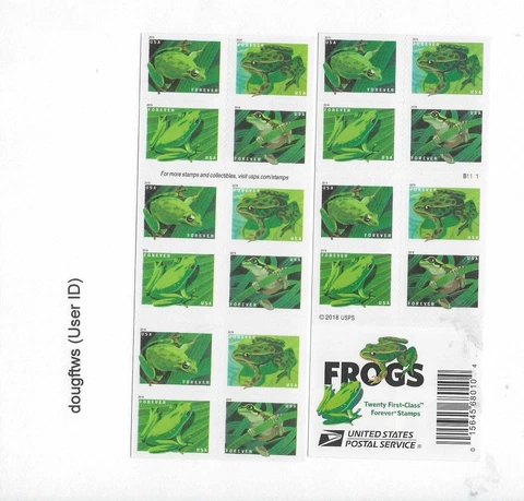 Frogs- Forever Stamps Cover