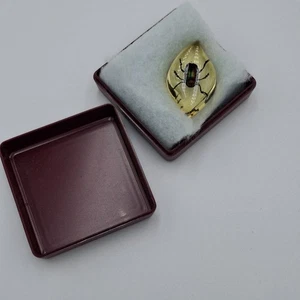 Echter Käfer Käfer in Resin Anhänger für Halskette - Bild 1 von 5